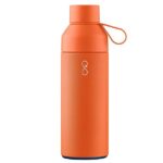 Employee Appreciation Gift Insulated Water Bottle
