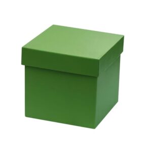 eco neutral desktop cube corporate gift