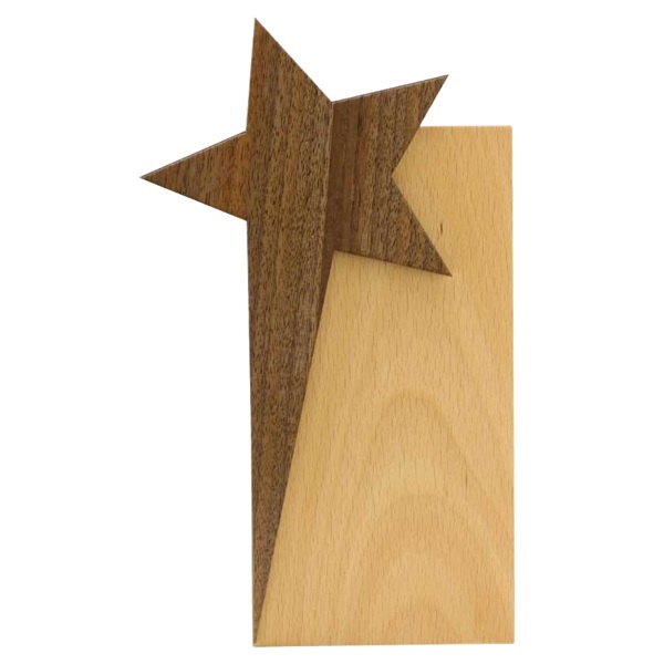 Corporate Gifts 2024 Wooden Trophy UAE