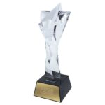 Customized Crystal Trophy